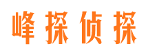 全州市私人侦探